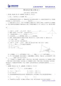 七年级下数学期末综合复习练习(一）