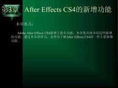 第3章 After Effects CS4的新增功能