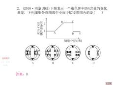 单元归纳检测（四）（含第六章）