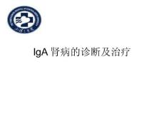iga肾病 ppt课件