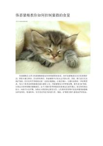 偉嘉貓糧教你如何控制貓貓的食量