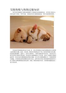 寶路狗糧與狗狗過敏知識