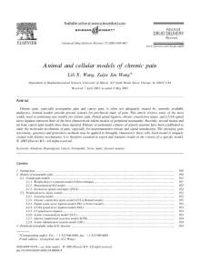 A nimal and cellular models of chronic pain