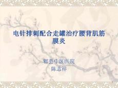 电针排刺配合走罐治疗腰背肌结膜炎ppt课件