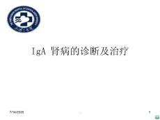 iga肾病ppt课件