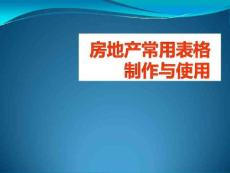 房地產常用表格制作與使用