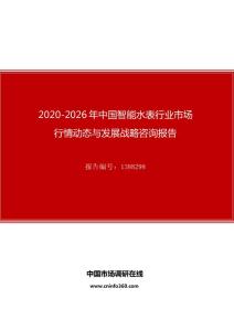 2020年中国智能水表行业市场行情动态与发展战略咨询报告