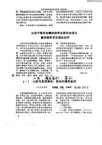 山药与其混淆品,伪品的薄层鉴别