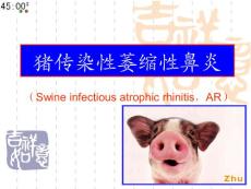 第十一节 猪传染性萎缩性鼻炎课件