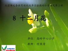 北京版二年级上册《十二月花》PPT课件