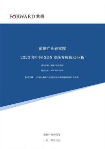 2020年中国SDN市场发展现状分析