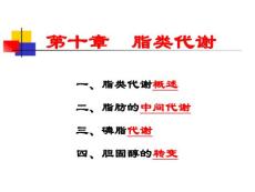 10第十章 脂類代謝