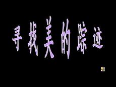 人教版美術(shù)六下《尋找美的蹤跡》PPT