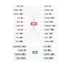 思維導圖巧記小學英語800詞
