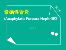 紫癜性肾炎ppt课件