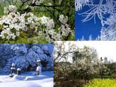 地理《南北方的差异》课件