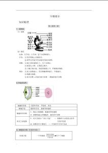 深圳初中生物知识点