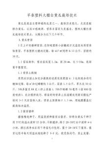 早春塑料大棚白黃瓜栽培技術(shù)