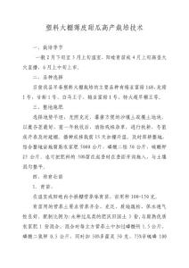 塑料大棚薄皮甜瓜高產(chǎn)栽培技術(shù)
