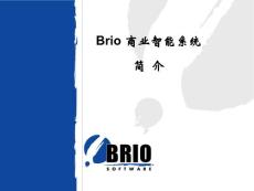 BRIO商业智能系统 (BI)