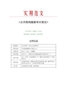 公共机构能源审计建议(能源审计师范文)