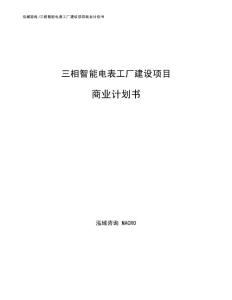 三相智能电表工厂建设项目商业计划书