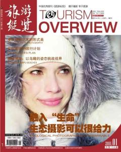 [整刊]《旅游纵览》2011年1月刊