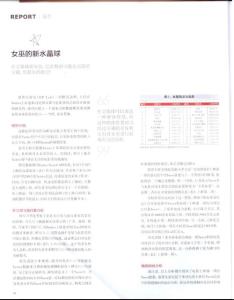 女巫的新水晶球