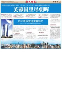 長沙芙蓉中央商務區投資說明會xm060427a209