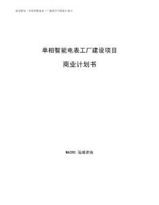 单相智能电表工厂建设项目商业计划书