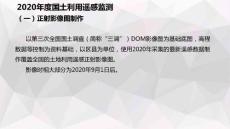 2020年年度國土變更調查監測圖斑提取信息