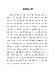 蔬菜行業(yè)簡介