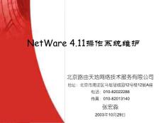 Novell NetWare4.11操作系统维护