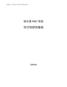 哈尔滨POCT项目可行性研究报告