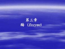 第三章  酶化學(xué)