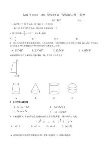 2020~2021北京市东城区七年级初一上学期数学期末试卷及答案