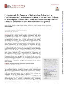 Mikhail-2019-Evaluation of the Sy