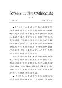 保險業(yè)暴雨理賠情況匯報