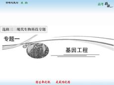 人教生物选修三全部精品课件专题一基因工程