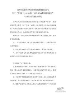 贵州百灵：关于“加强中小企业板上市公司内控规则落实”专项活动的整改计划