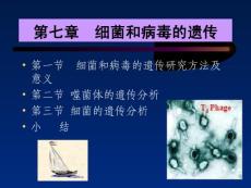 《遗传学》07.细菌和病毒的遗传(55P)