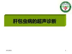 肝包虫病的超声诊断ppt课件