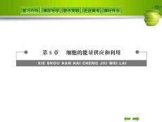 细胞的能量供应和利用复习课件