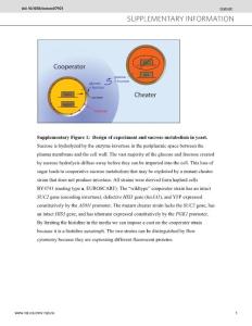2009_Snowdrift game dynamics and facultative cheating in yeast SI