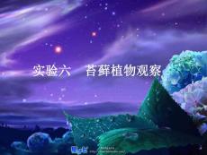 植物實驗6-苔蘚植物觀察