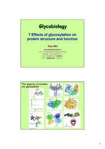 7-effects of glycosylation on protein (2)