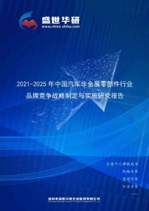 2021-2025年中國汽車非金屬零部件行業品牌競爭策略制定與實施研究報告