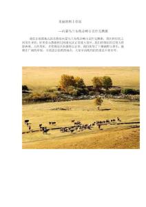 美丽的坝上草原