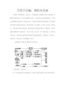 巧用下丘脑，网控内分泌