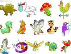 我喜歡的動物課件